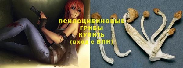 ешки Белокуриха